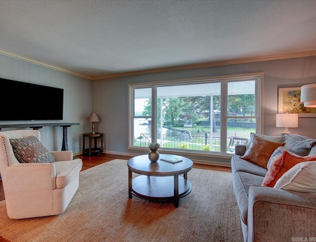 living room with crown molding, a textured ceiling, and hardwood / wood-style flooring