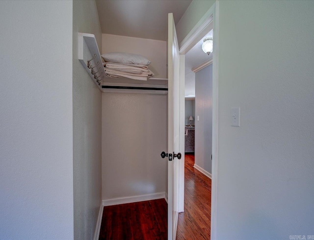 spacious closet with hardwood / wood-style floors