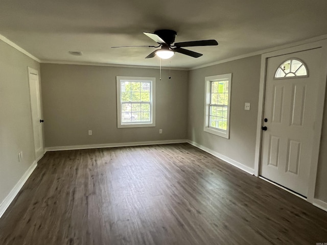 entrance foyer featuring a wealth of natural light, crown molding, and dark hardwood / wood-style floors