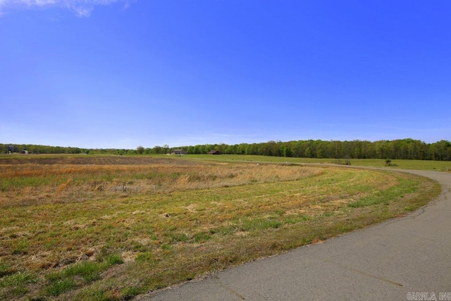 Listing photo 2 for LOT31 Stonehill Rnch, Mayflower AR 72106