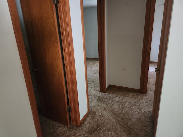 hall featuring carpet flooring