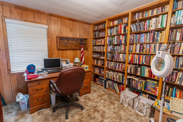 carpeted office space featuring wood walls