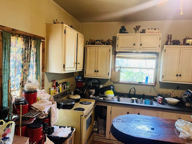 kitchen with electric range and sink