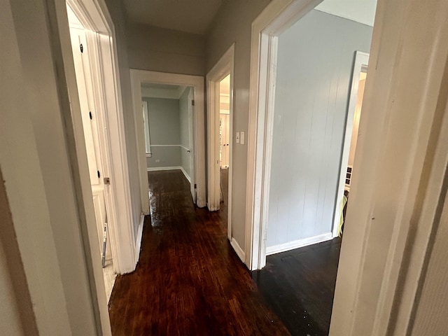 corridor featuring dark hardwood / wood-style flooring