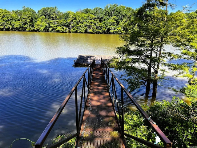 dock area with a water view