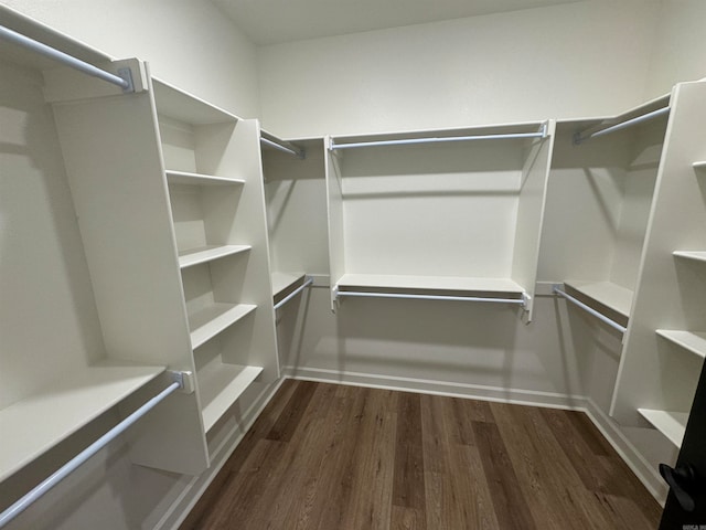 walk in closet with dark wood-type flooring