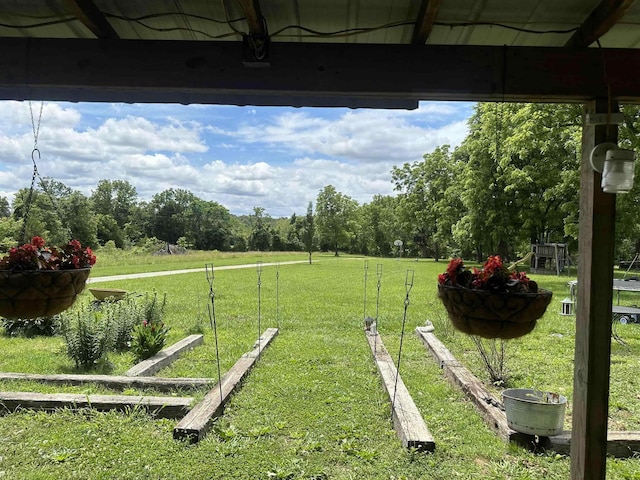 view of yard featuring a rural view