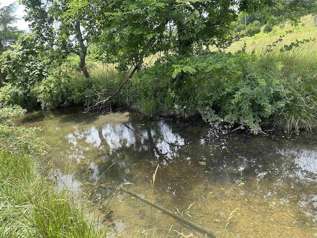 view of nature