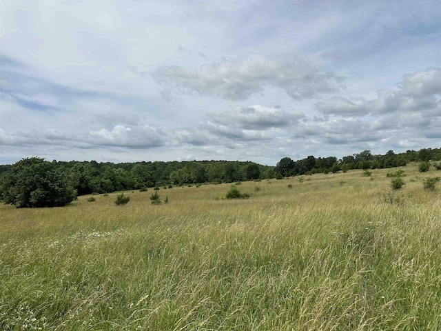 view of local wilderness featuring a rural view