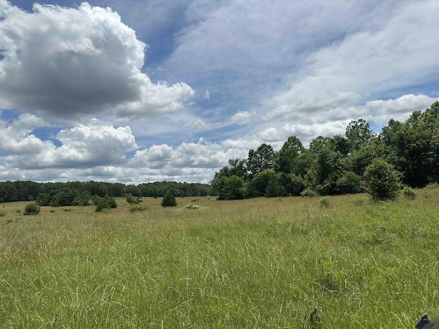 view of landscape with a rural view