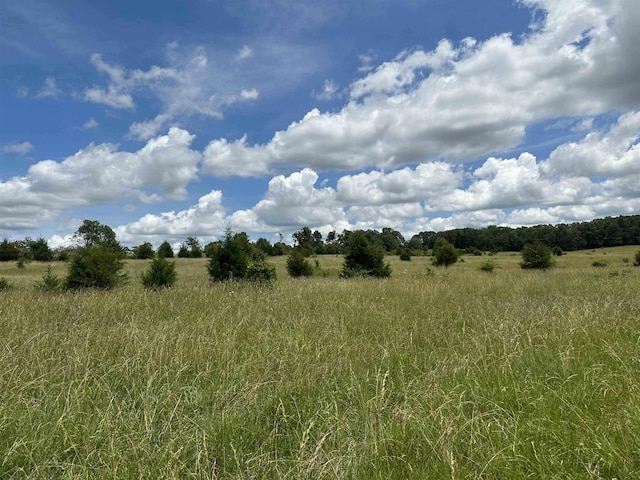 view of nature with a rural view