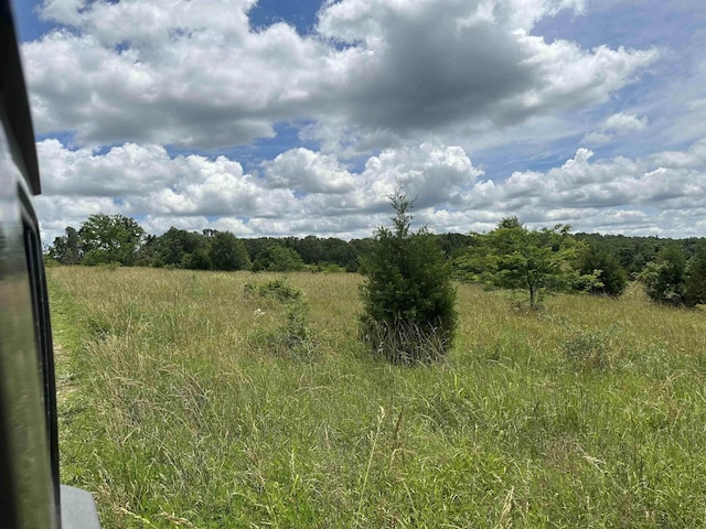 view of local wilderness featuring a rural view