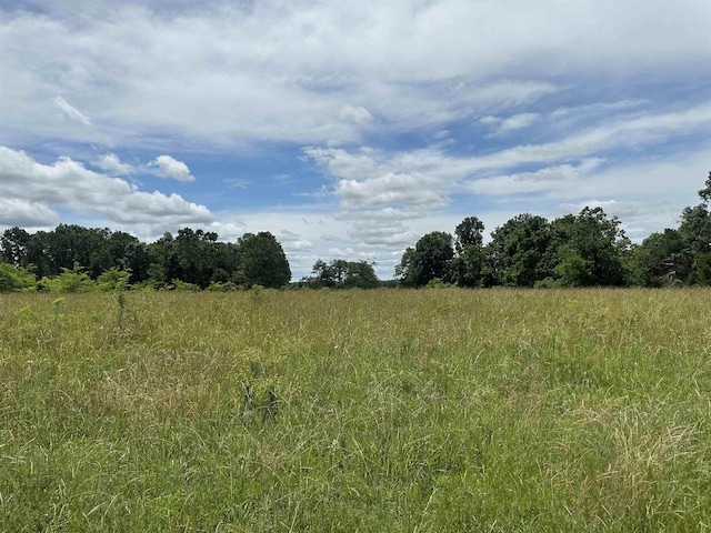 view of local wilderness with a rural view