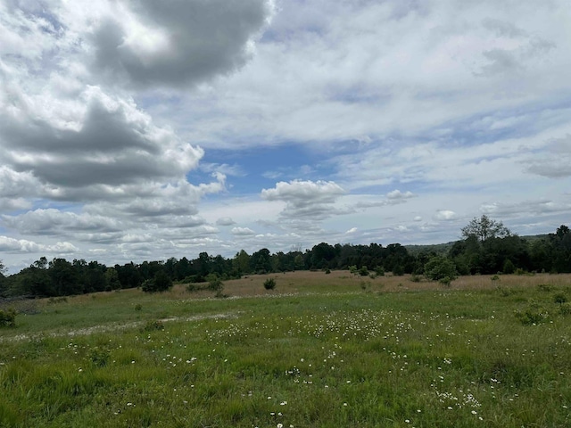 view of local wilderness with a rural view