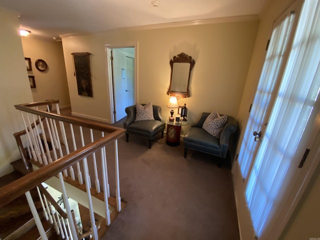 living area featuring carpet and crown molding