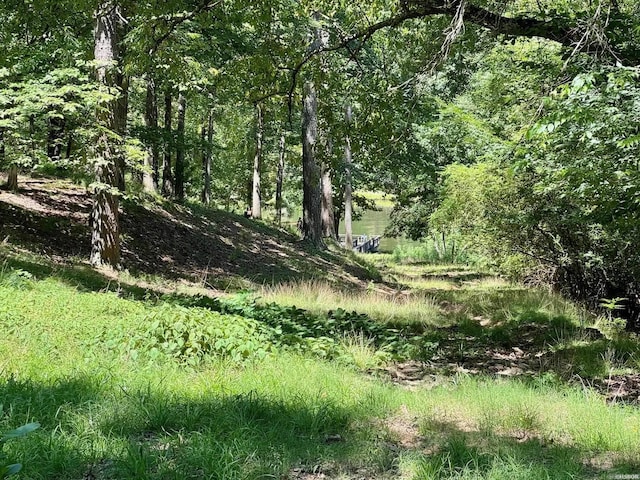 view of local wilderness