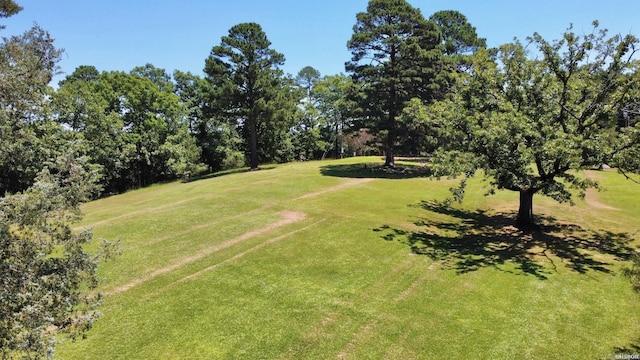 exterior space with a yard