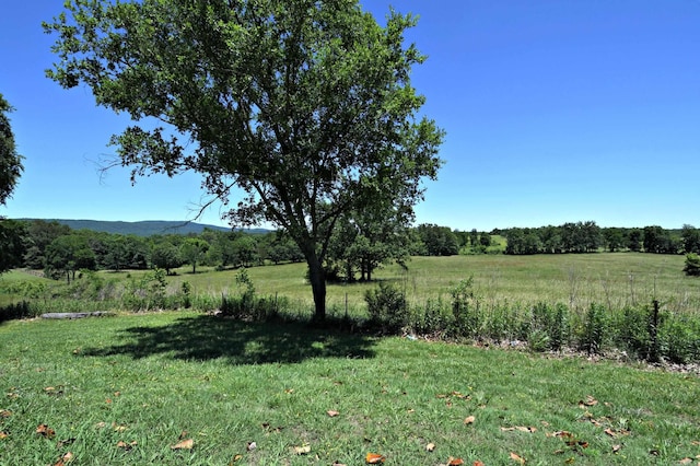 view of local wilderness featuring a rural view