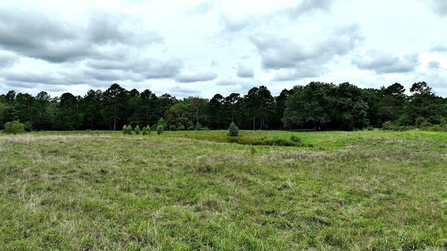 view of local wilderness with a rural view and a wooded view