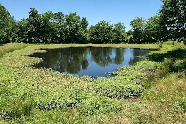 view of water feature