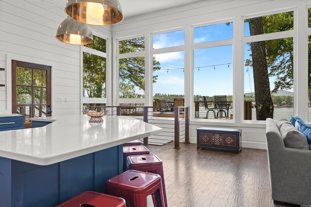 kitchen with plenty of natural light, a kitchen bar, and dark hardwood / wood-style flooring