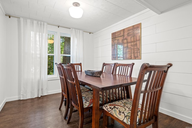 dining space featuring plenty of natural light and dark wood-type flooring