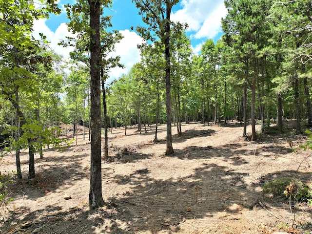 TBD,Tract4 Polk Road 158, Mena AR, 71945 land for sale