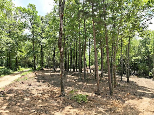 Listing photo 2 for TBD,Tract4 Polk Road 158, Mena AR 71945