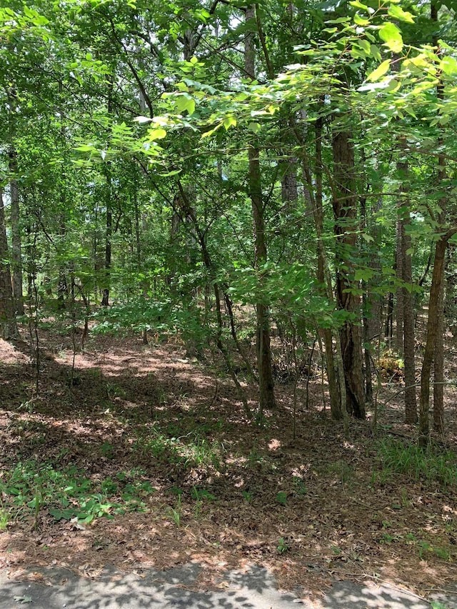 3 Sur Way, Hot Springs Village AR, 71909 land for sale