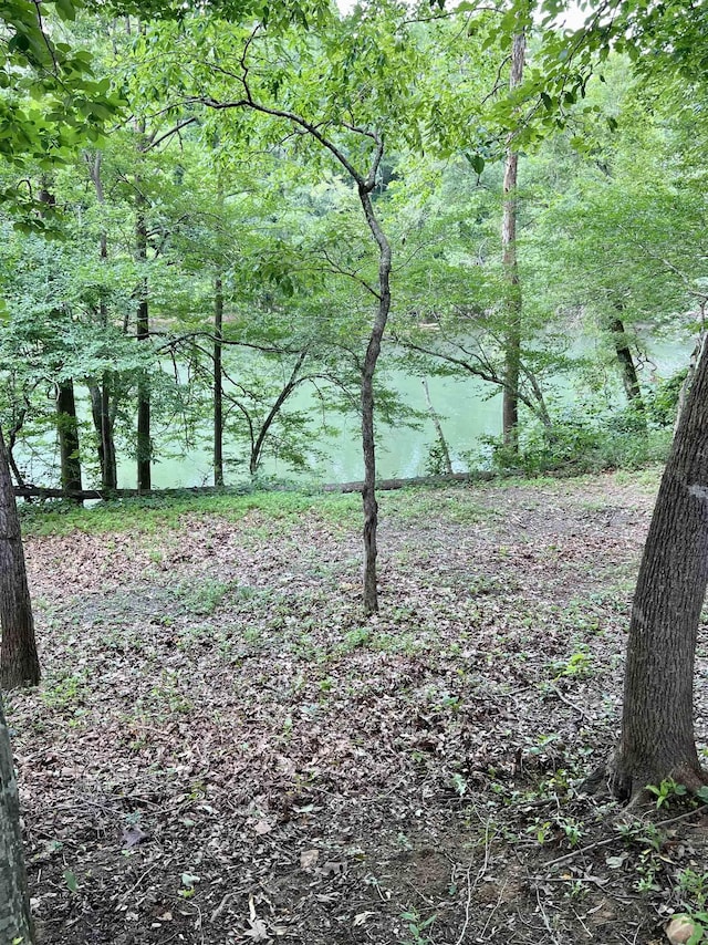 view of landscape with a water view