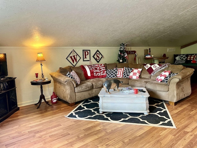 living room with hardwood / wood-style floors and a textured ceiling