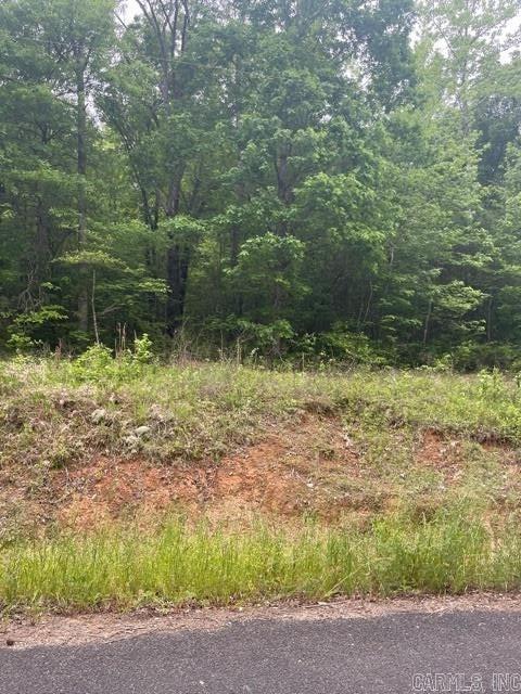 00 Echo Vly, Conway AR, 72032 land for sale