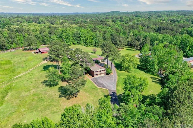 drone / aerial view