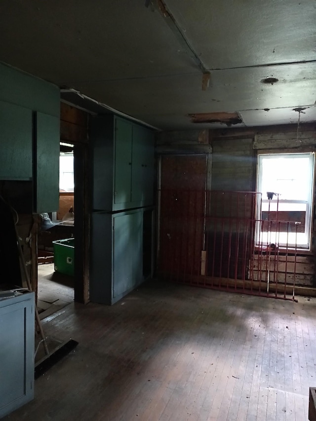 interior space featuring a healthy amount of sunlight and wood-type flooring