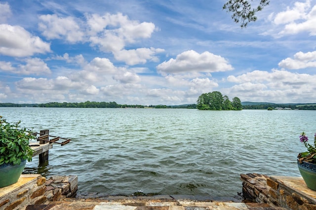 view of water feature featuring a dock