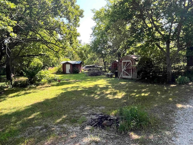 view of yard featuring a shed