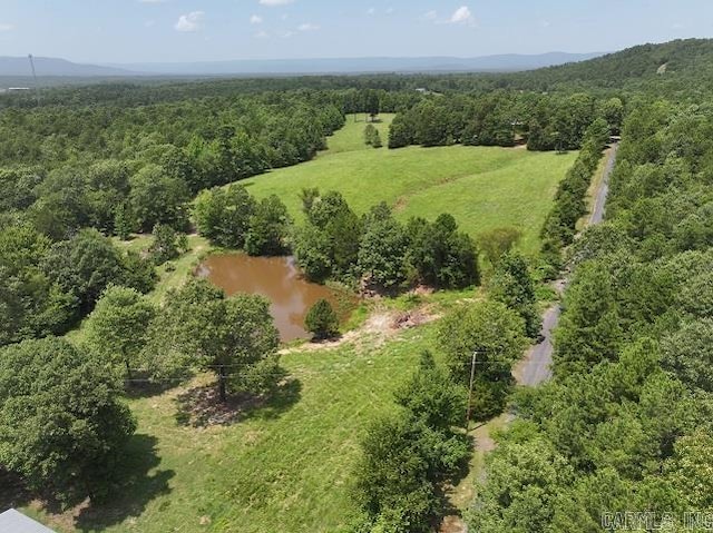 Listing photo 3 for TBD Polk Road 78, Mena AR 71953