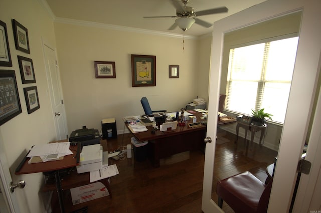 office featuring ceiling fan, dark hardwood / wood-style floors, and ornamental molding