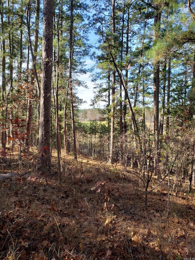 Listing photo 3 for 2 Dominar Ln, Hot Springs Village AR 71909