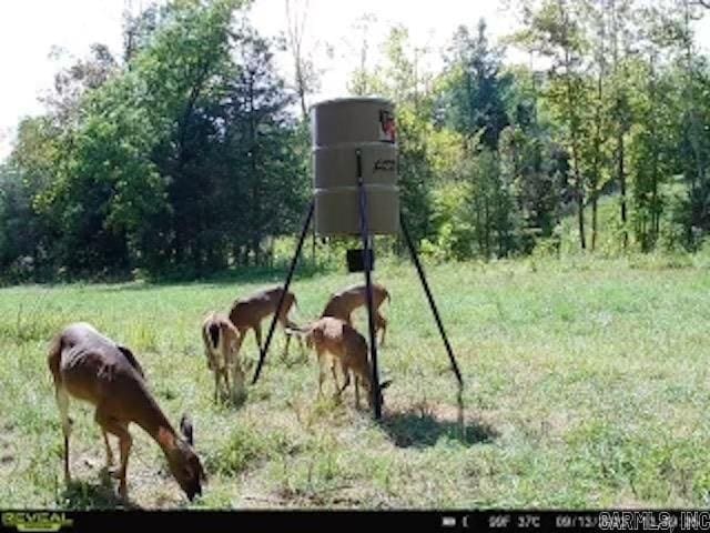 1717 Grassy Rd, Marshall, AR 72650 - view of property's community