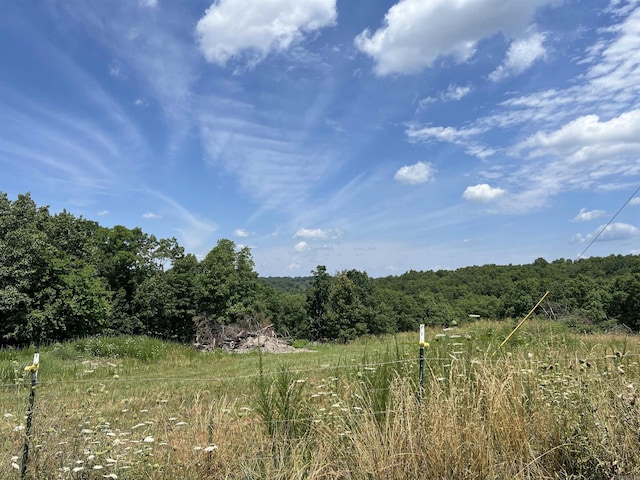1717 Grassy Rd, Marshall, AR 72650 - view of landscape featuring a forest view