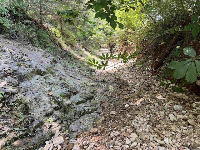 1717 Grassy Rd, Marshall, AR 72650 - view of nature