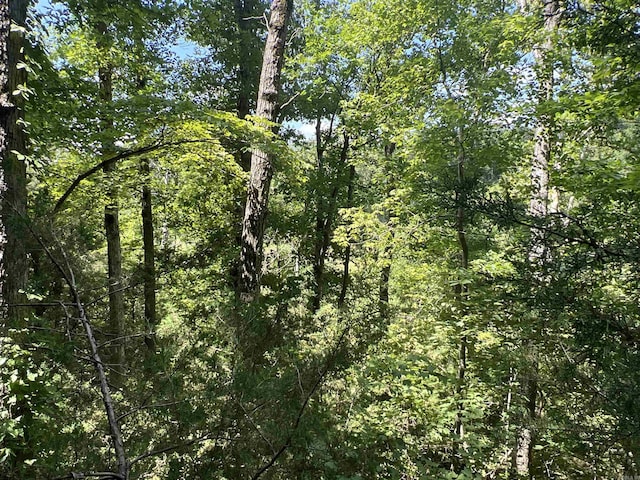 1717 Grassy Rd, Marshall, AR 72650 - view of landscape with a view of trees
