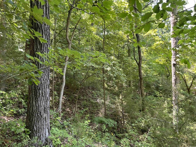 1717 Grassy Rd, Marshall, AR 72650 - view of landscape featuring a view of trees