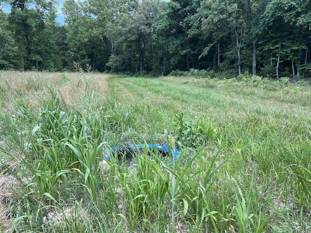 1717 Grassy Rd, Marshall, AR 72650 - view of nature with a forest view