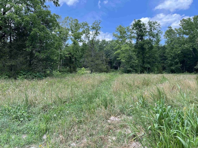 1717 Grassy Rd, Marshall, AR 72650 - view of landscape featuring a forest view