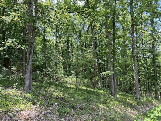 1717 Grassy Rd, Marshall, AR 72650 - view of landscape with a view of trees