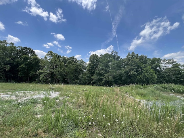 1717 Grassy Rd, Marshall, AR 72650 - view of nature featuring a forest view