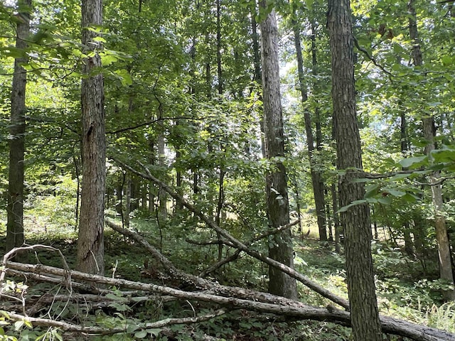 1717 Grassy Rd, Marshall, AR 72650 - view of landscape featuring a forest view