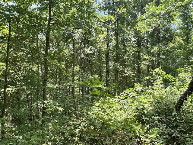 1717 Grassy Rd, Marshall, AR 72650 - view of local wilderness with a wooded view